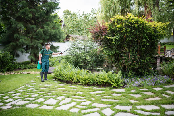 Best Commercial Pest Control Services  in Andrews Af, MD
