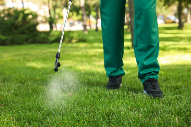 Best Flea Control Services  in Andrews Af, MD