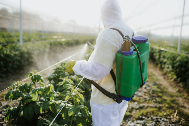 Best Wildlife Control Services  in Andrews Af, MD